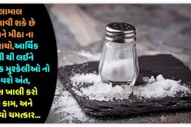 માલામાલ બનાવી શકે છે તમને મીઠા ના ઉપાયો,આર્થિક તંગી થી લઈને દરેક મુશ્કેલીઓ નો આવશે અંત,બસ ખાલી કરો આ કામ,અને જોવો ચમત્કાર…