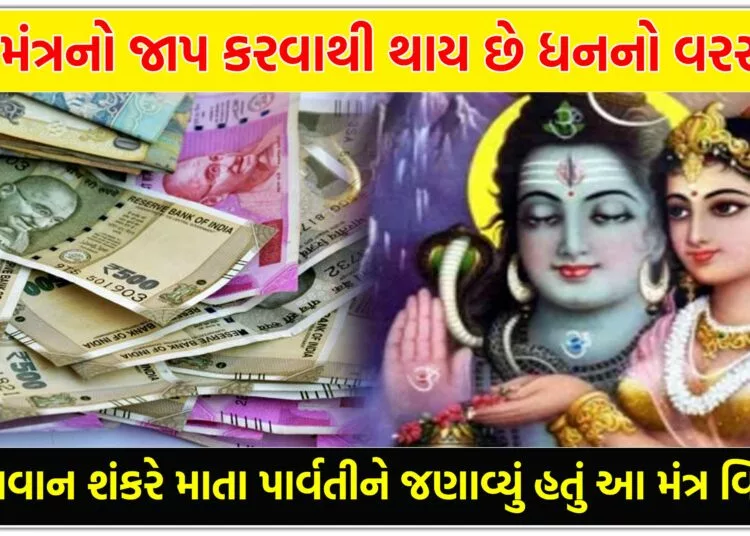 આ મંત્રનો જાપ કરવાથી થાય છે ધન નો વરસાદ,ભગવાન શંકરે માતા પાર્વતી ને જણાવ્યું હતું આ મંત્ર વિશે..