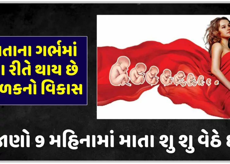 માતાના ગર્ભમાં આ રીતે થાય છે બાળકનો વિકાસ,જાણો 9 મહિનામાં માતા શુ શુ વેઠે છે..